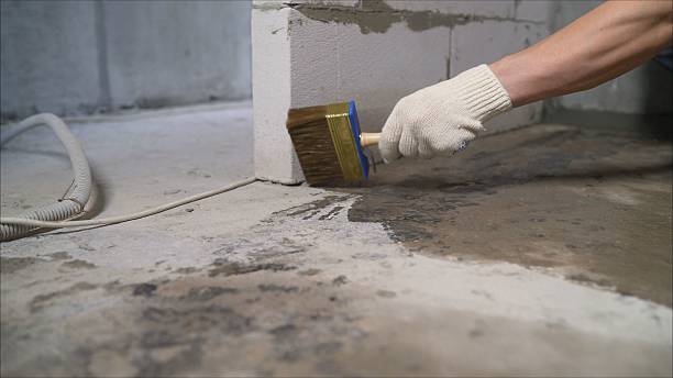 SJ Waterproofing Pros Waterproofing coverage map for Alexandria, TN and surrounding area